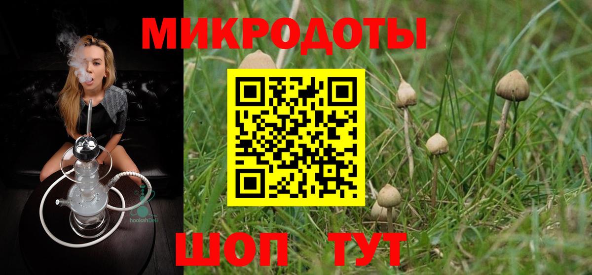 Галлюциногенные грибы GOLDEN TEACHER  Шарыпово  Псилоцибиновые грибы Psilocybe 