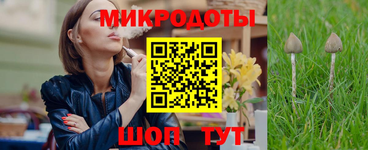 Псилоцибиновые грибы мухоморы  Псилоцибиновые грибы Psilocybe  Шарыпово  Вход с VPN 