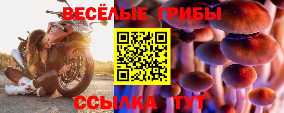 Псилоцибиновые грибы Magic Shrooms Шарыпово